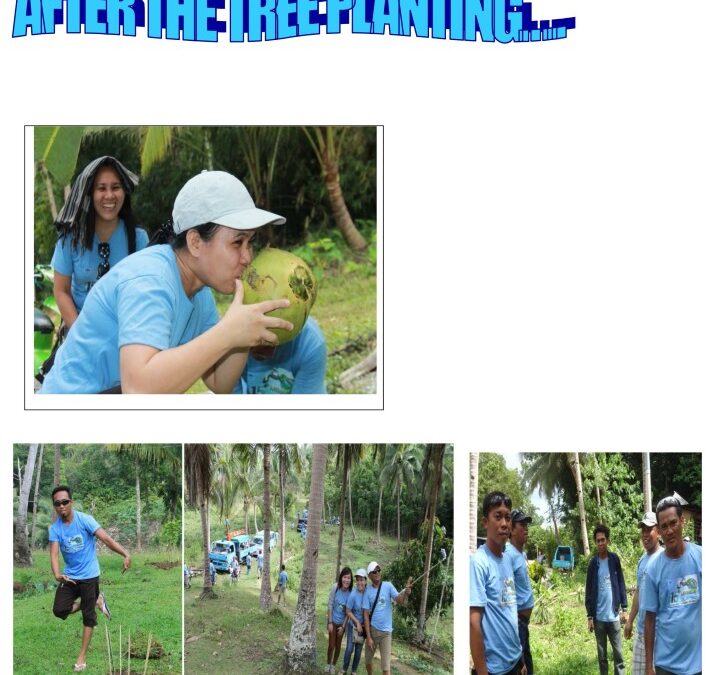 After Tree Planting